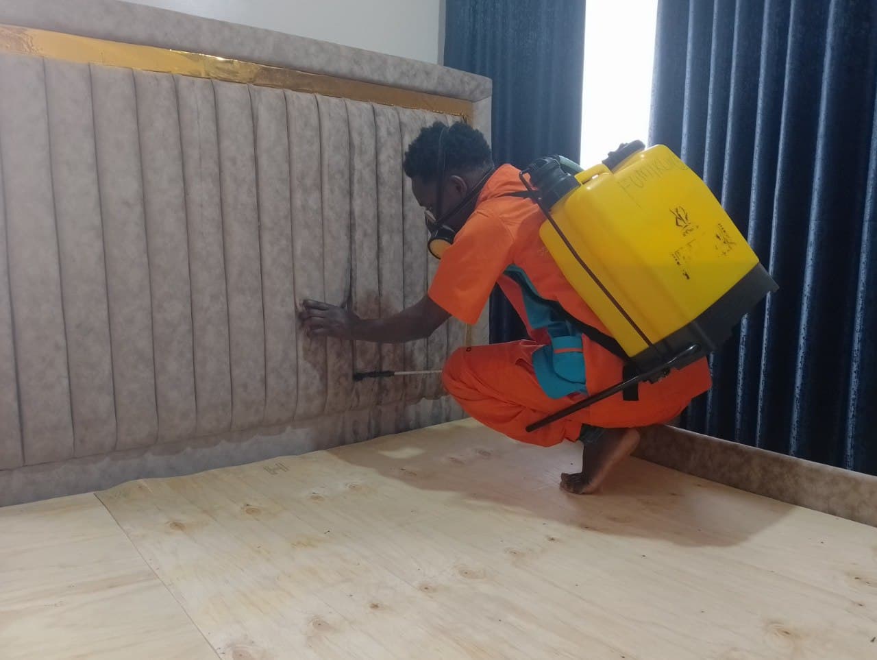 Bedbugs Control benefits image